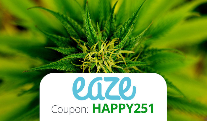 Eazeup : A weed delivery app and place to get a medical ...