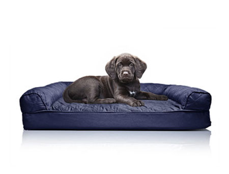 Furhaven Review: Get 40% off your pet bed with our Furhaven promo code