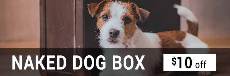 dog subscription box $10