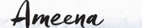 Ameena Mattress Coupons — Discontinued (2026)