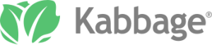 How Does Kabbage Work? Kabbage Is Now Amex Business Blueprint (2026)