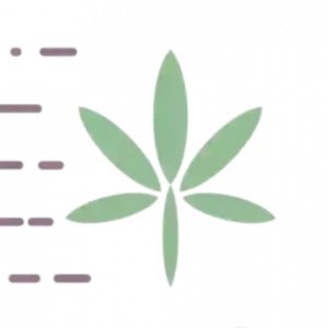 KushFly Coupon Code: SMOKE10 for 10% Off