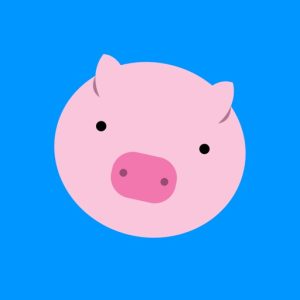 Receipt Hog Referral Code: blok7261 for Free Spins